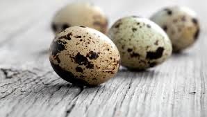 Oua de prepelita diferite rase