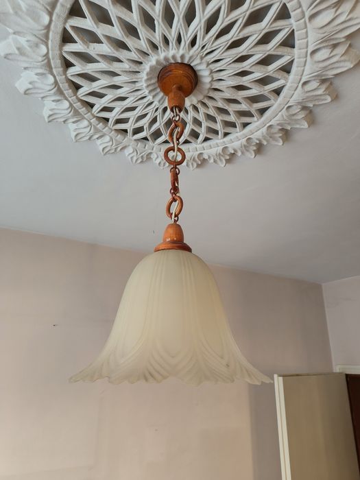 Два красиви полилея