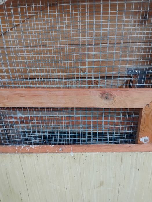 Voliera colivie porumbei păsări Mare 150×150×50