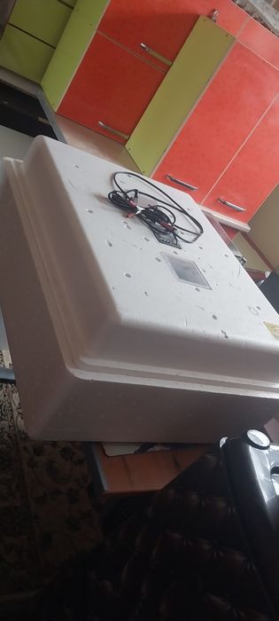 Инкубатор несушка