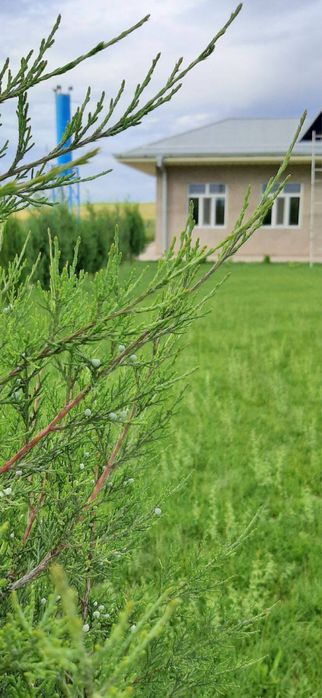 Продаётся КИРПИЧНИЙ ЗАВОД площадь производства 1 га