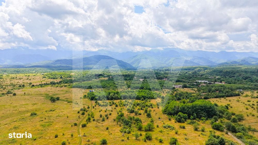Teren extravilan de vanzare - Valea Avrigului, Sibiu