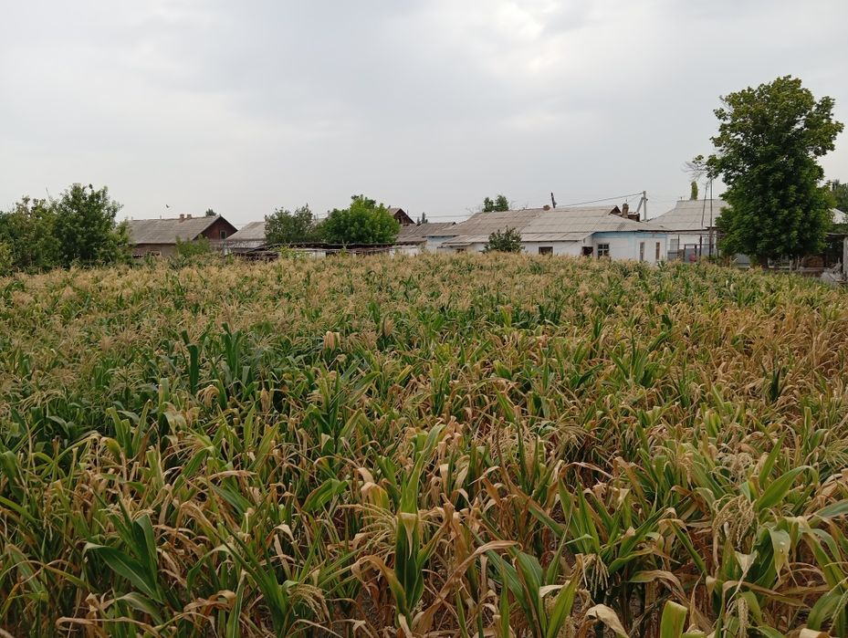 Quyi chirchiq uy sotiladi