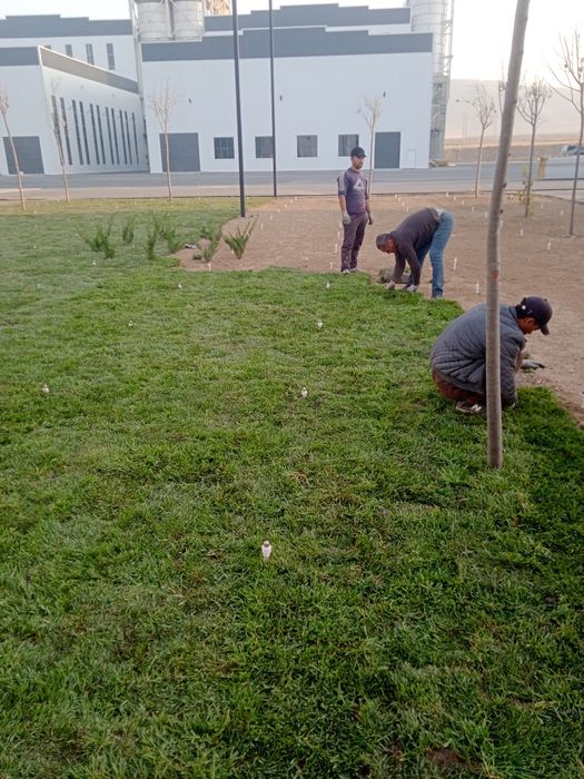 Богбон садовник ландшафт хизмати