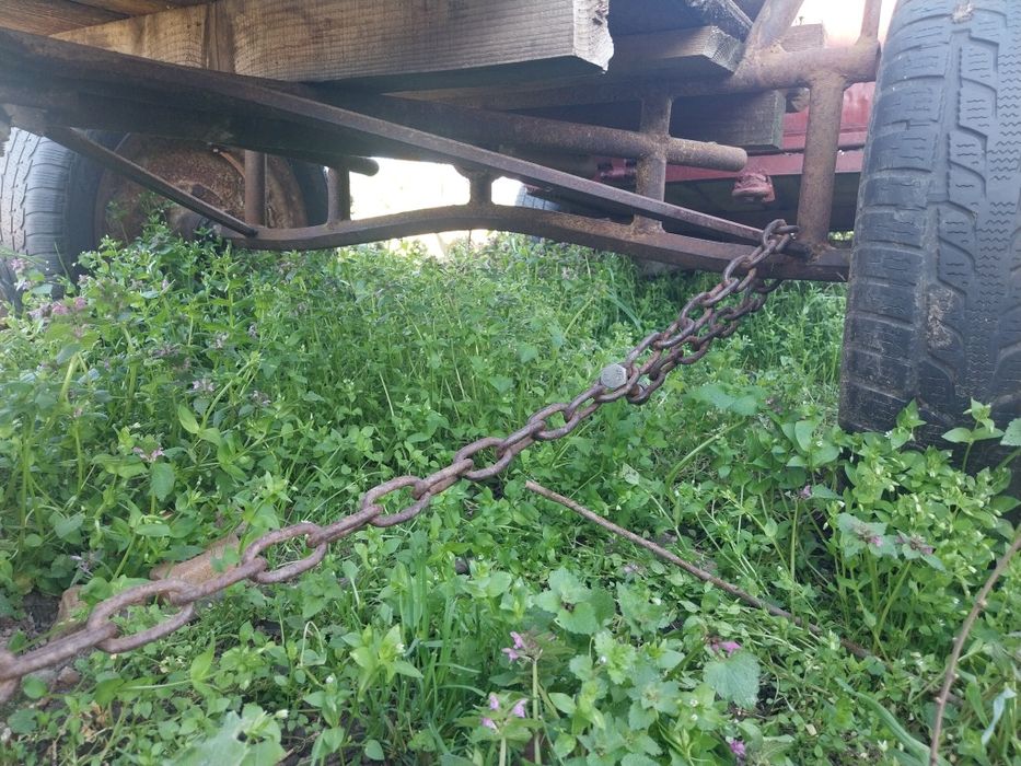 Vând sau schimb cu ponei