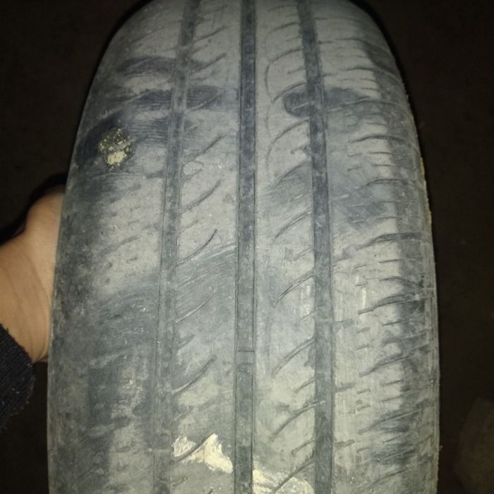 Shina 13 li sotiladi