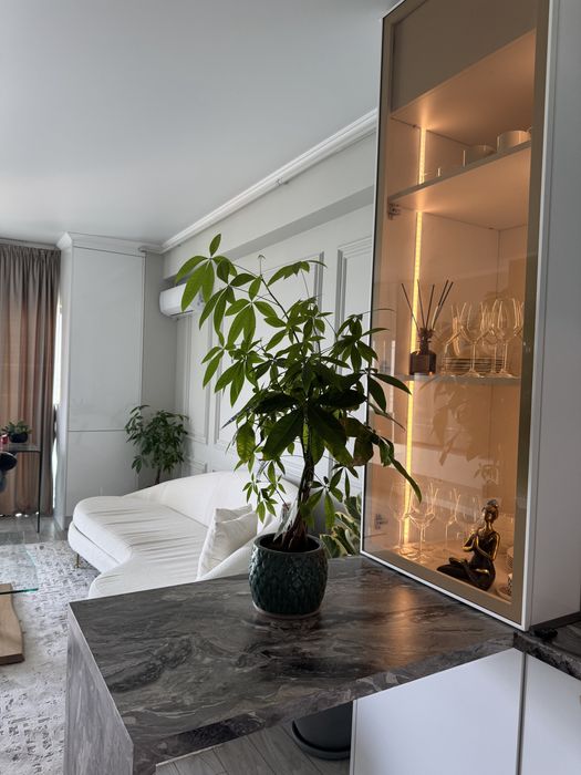 Inchiriez Apartament 2 Camere cu Vedere Frontala la Dunare in bloc Riviera