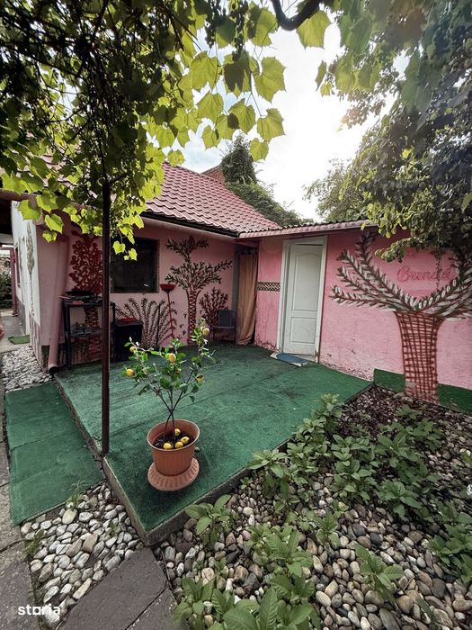 Casa 4 camere, 2 bai, 2 bucatarii, 130 mp utili, 902 mp teren  - Bogda