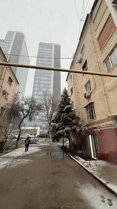 IT park, ajoyib lacatsiya