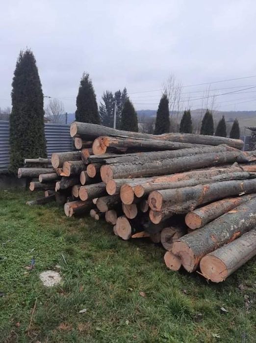 Vând lemn de foc fag