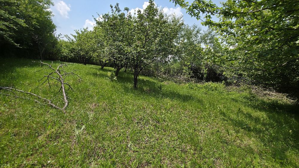 Продава се Парцел в с. Кралев дол, Област Перник - 1050 кв.м за 44 €/кв.м - Снимка #4