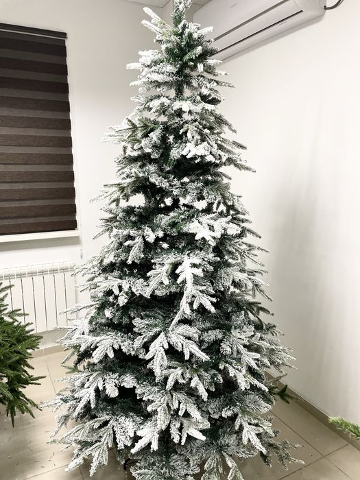 Ёлки на Новый год 2026