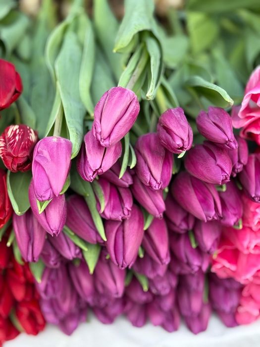 Цветы цветы  цветы