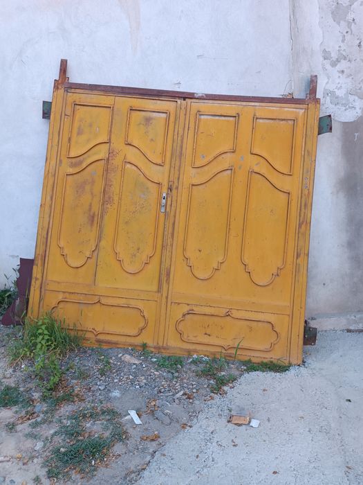 Temir darvoza 260*260