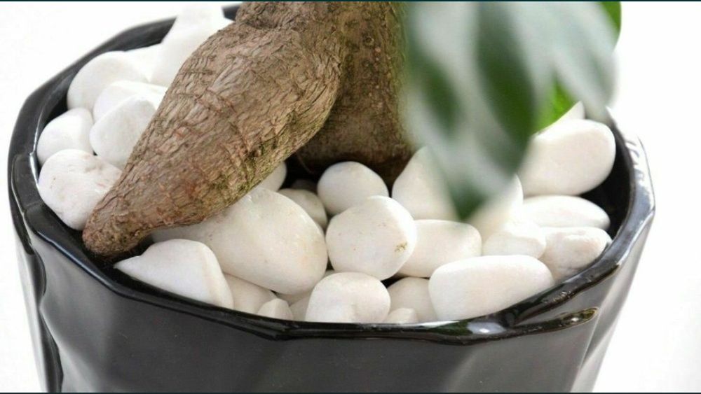 Камни декоративные для Ландшафт по низкой Цена