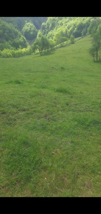 Teren de vânzare intravilan