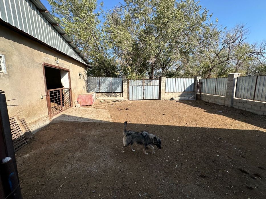 Фермерское хозяйство