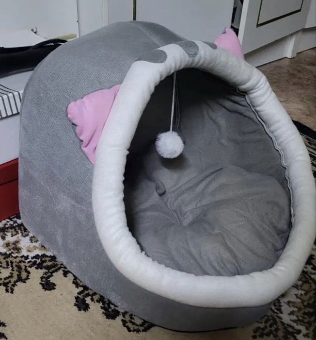 Отдам в добрые руки котенка