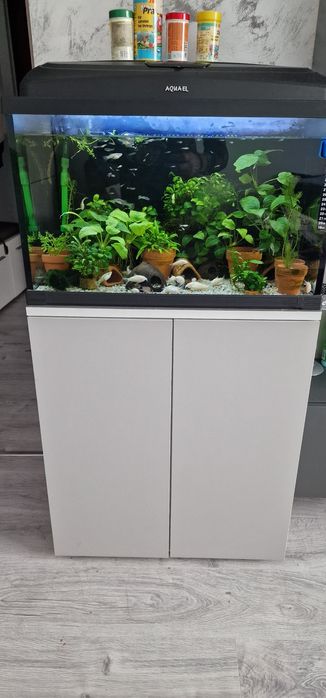 Acvariu complet cu stand