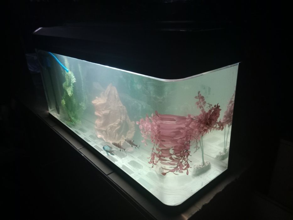 Заводской 210л аквариум.