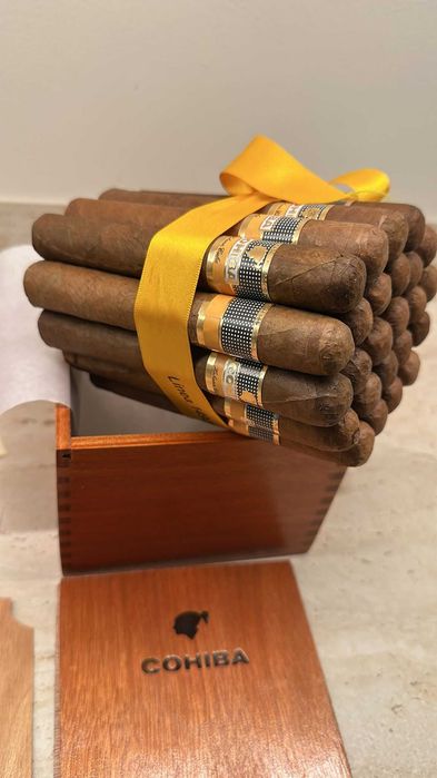 Cohiba  Robustos Cuba