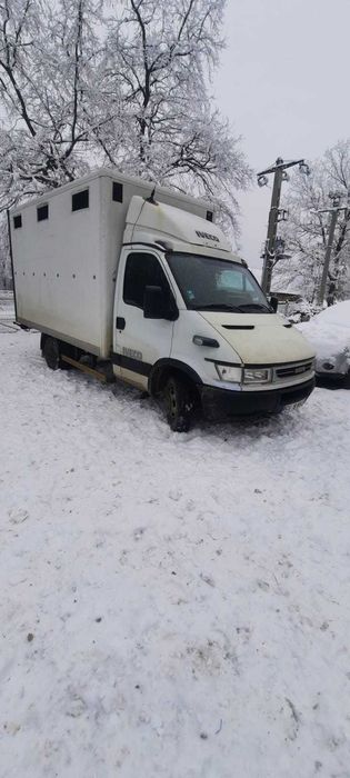 Autoutilitară transport animale