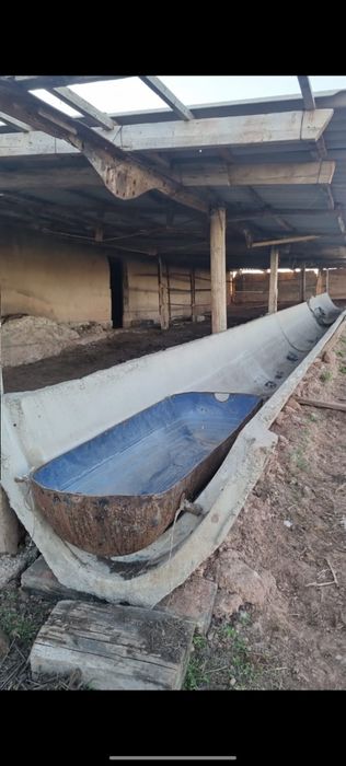 Фазенда, дача, үй