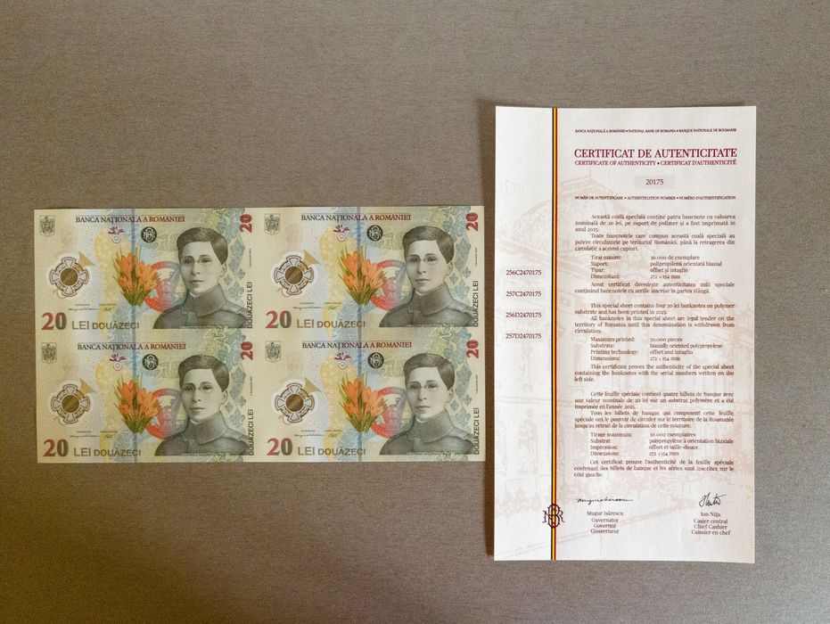 Coala cu bancnote de 20 lei emisă de BNR