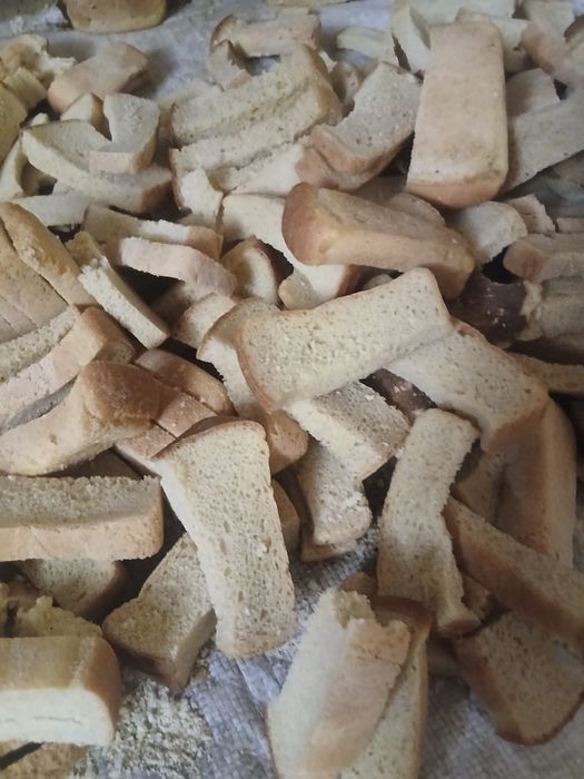 Molga boxonka non sataman