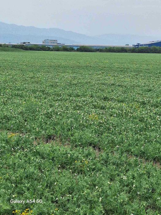 Продава се Парцел в Пловдив, Индустриална зона - Север - 7962 кв.м за 19 €/кв.м - Снимка #9