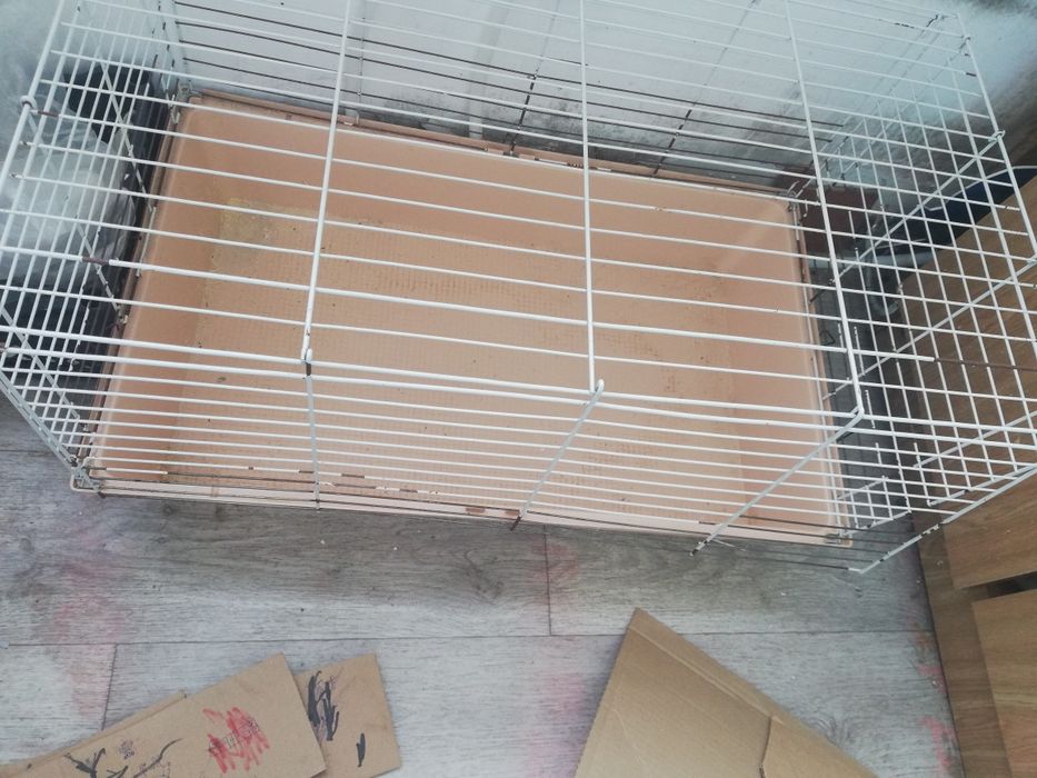 Сетка для кролика