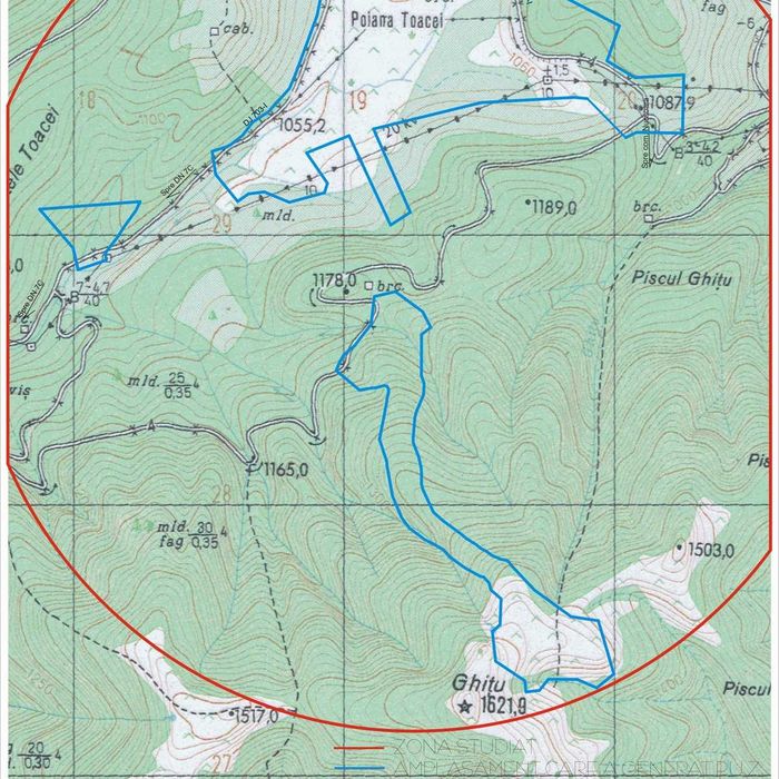 Teren 23.800 mp pădure Platou Molivișu, comuna Arefu, jud. Argeș
