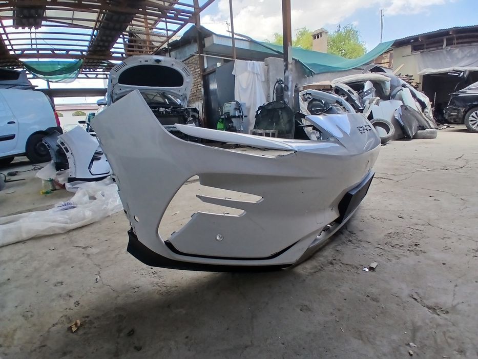 Bivaydi chempion elektro