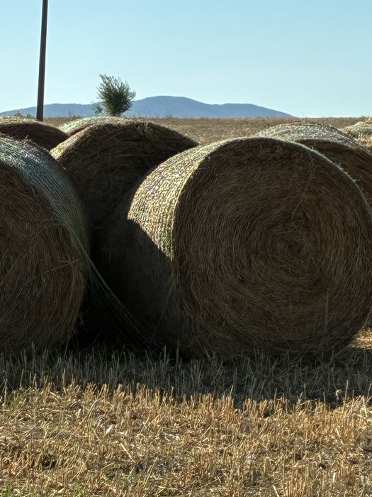 Продавам бали СЕНО !