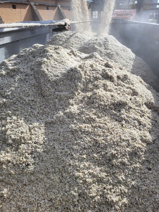 Borhot din sfecla de zahar