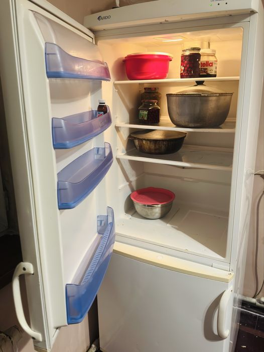 Холодильник Ardo 185х65 см