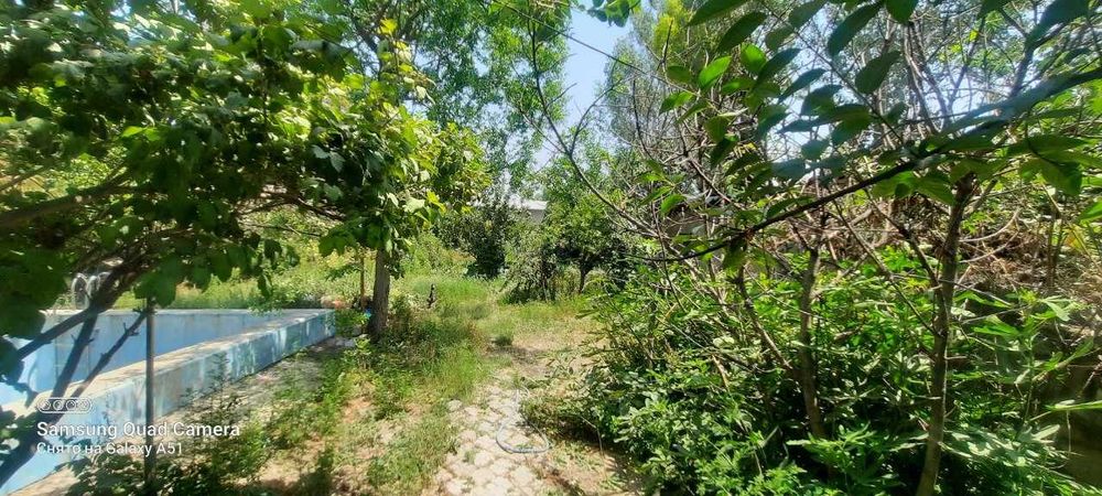 Dacha sotiladi, Nazarbekda