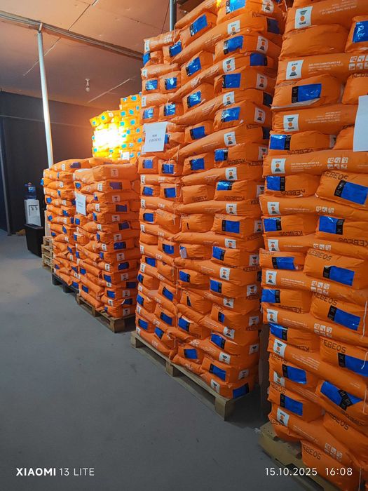 KEBEOS makkajo'xori gibridi urug’lari. Маккажохори Жохори уруги