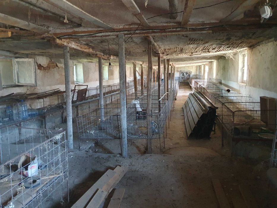 Продава се Промишлена сграда в с. Караджалово, Област Пловдив - 2522 кв.м за 20 €/кв.м - Снимка #6