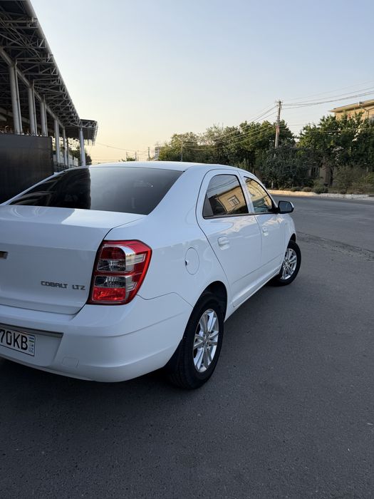 Cobalt 2024 ohiri 2025 kuzf