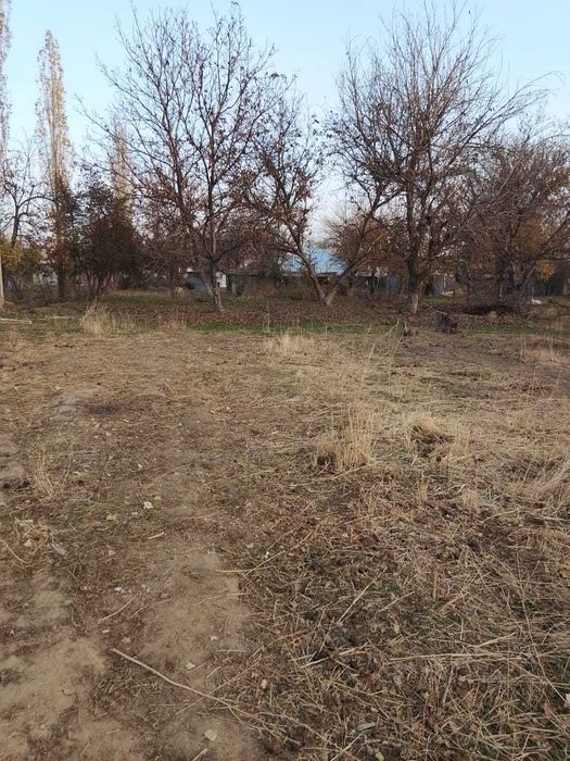 участок 25 соток