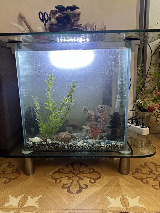 Продаю аквариум