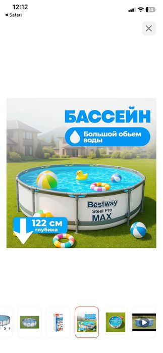 Басеин каркасный