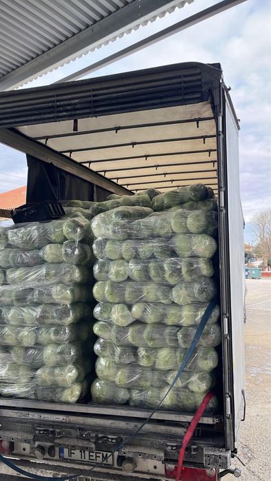 Varza import Grecia.