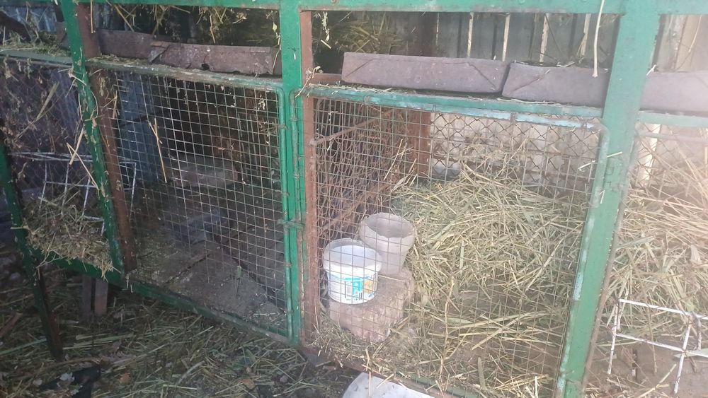 Продам добротный кролятник