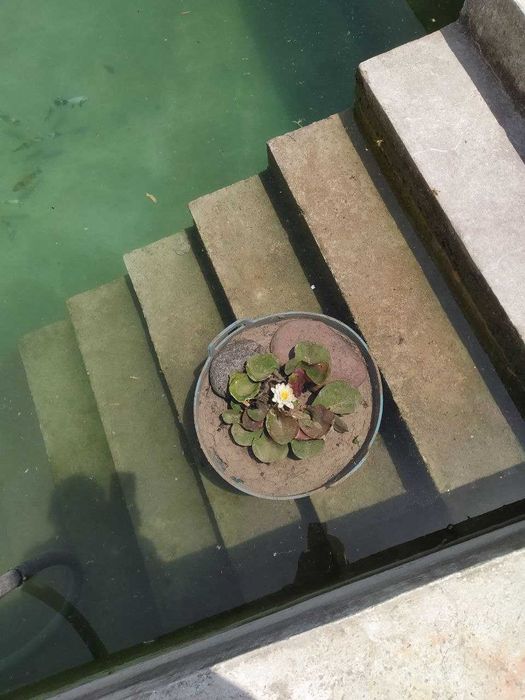 Янги Ўзбекистон боғи яқинидаги 6 сотих майдонда уй сотилади