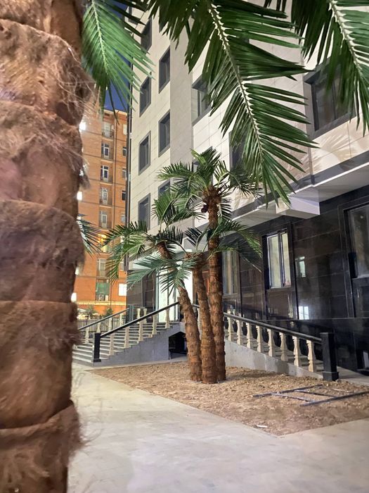 Toshkent | Issiq joyga mos lux suniy palma 3m–8m — 2 yil kafolat!