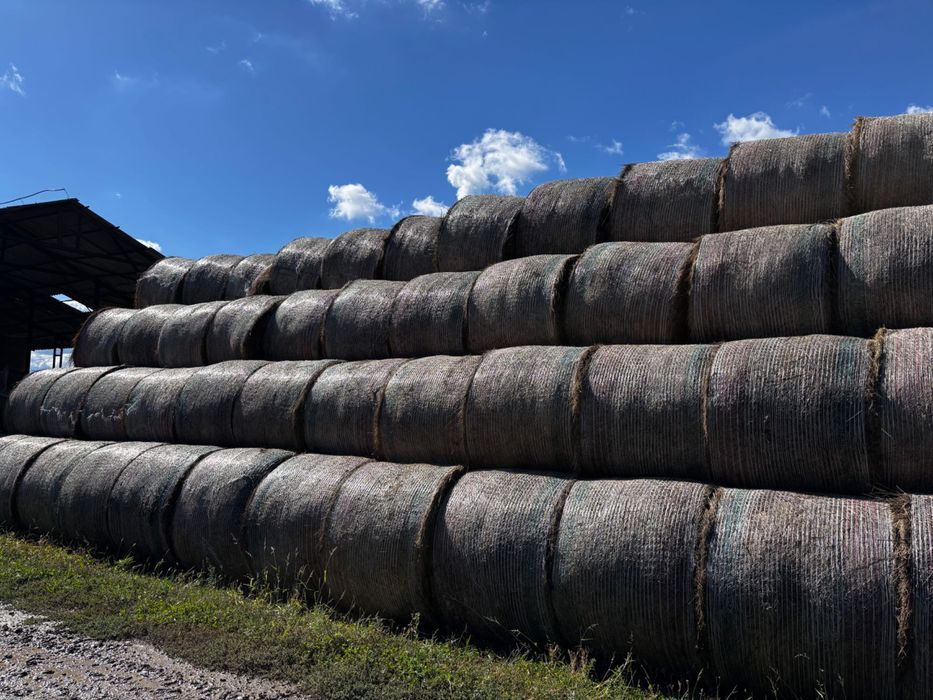Baloturi de fân de primă calitate – mari, dense– 370/400 kg – 200 lei