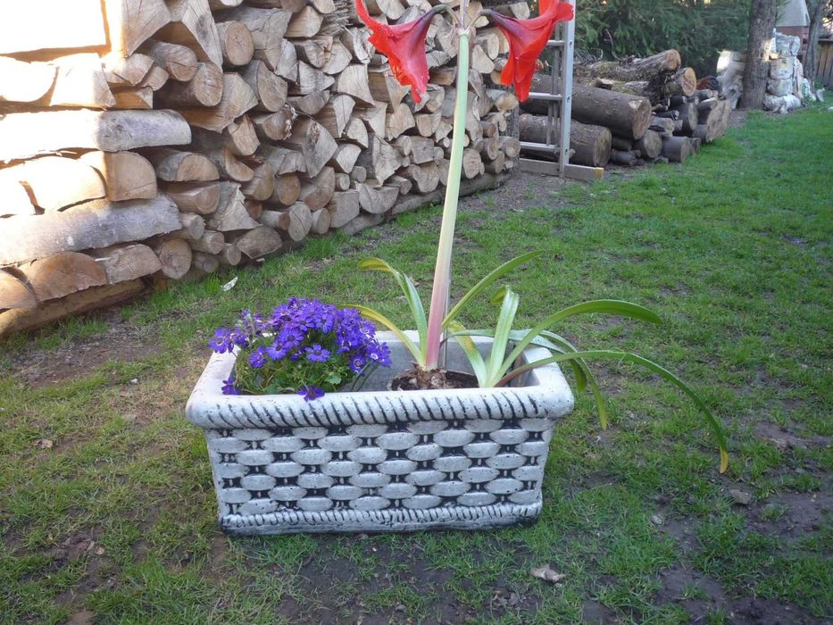 Ghivece de flori din beton