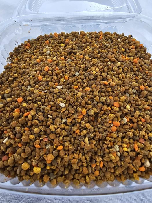 Polen crud de la pomi fructiferi papadie recoltat anul acesta